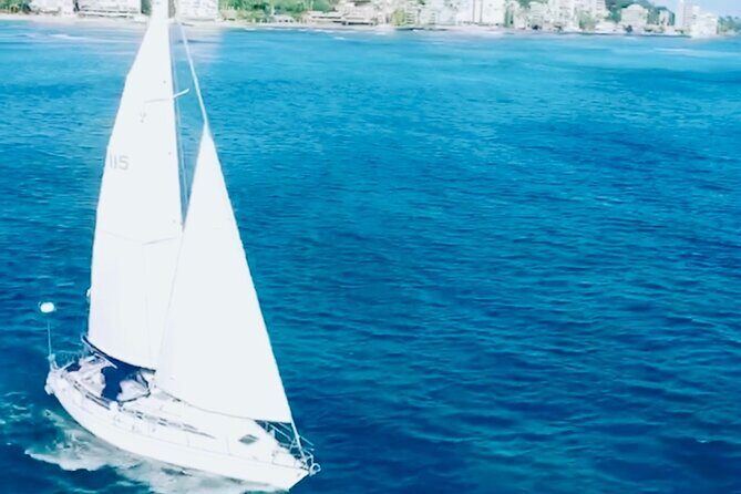 Waikiki small group turtle snorkeling & sailing - The Guides: Knowledge and Hospitality