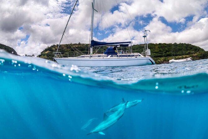 Waikiki small group turtle snorkeling & sailing - The Value of This Tour