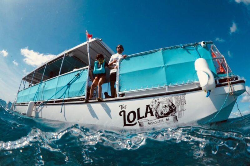Waikiki: Snorkel Tour with Hawaiian Green Sea Turtles - Practical Tips and Considerations