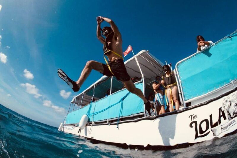Waikiki: Snorkel Tour with Hawaiian Green Sea Turtles - The Sum Up: Is This Tour Worth It?