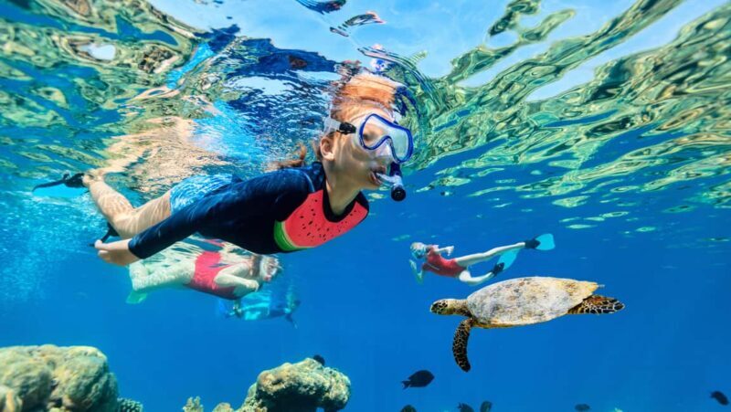 Waikiki: Snorkeling & Ocean Playground Experience - Key Points