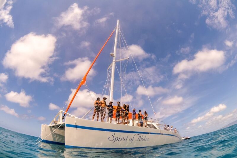 Waikiki Sunset Cocktail Cruise with Drinks and Appetizers - The Experience: What to Expect on the Waikiki Sunset Cocktail Cruise