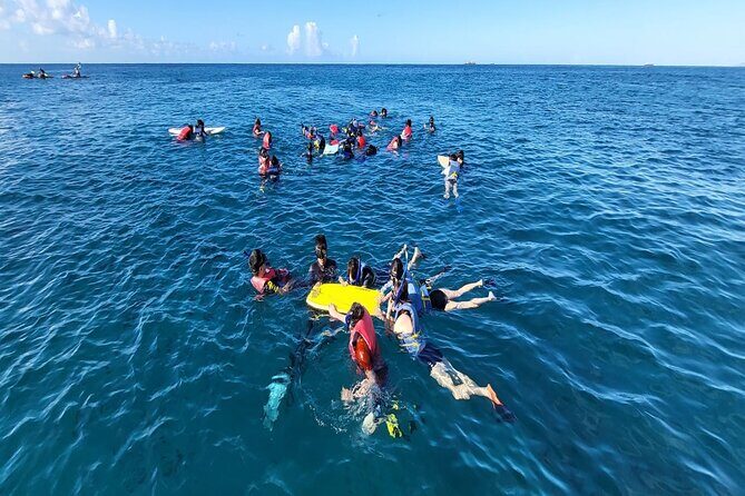 Waikiki Sunset & Wine Turtle Snorkeling Cruise - Practical Details and Considerations