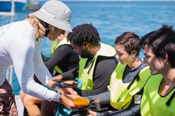 Waikiki Turtle Canyon Snorkeling with Hula Show - Authenticity and Value