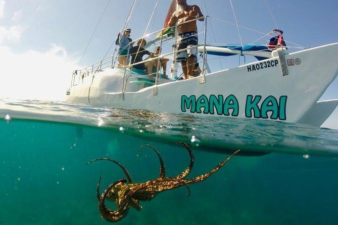 Waikiki Turtle Snorkel & Sail combo on Hawea Catamaran - Snorkeling at Turtle Canyon