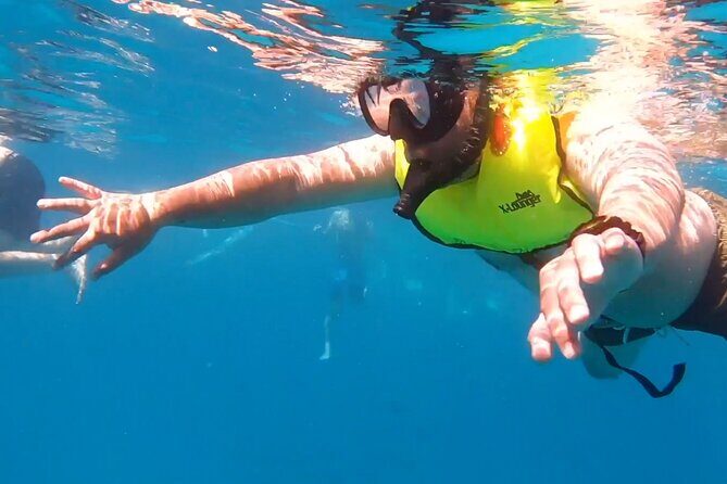 Waikiki Turtle Snorkeling Tour - Introduction