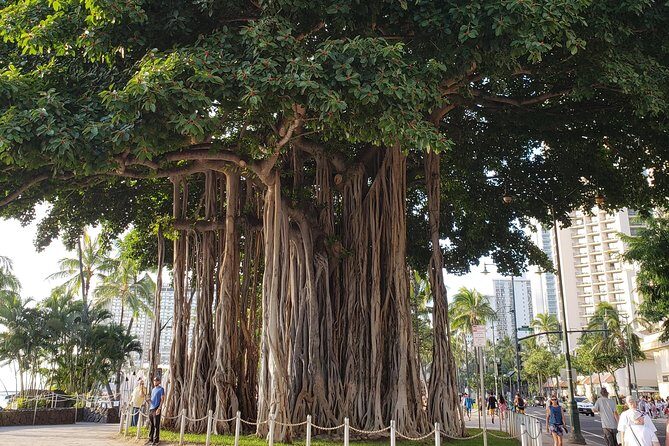 Waikiki Walking Tour, Treats, Free Video and Pics! - The Highlights of Each Stop