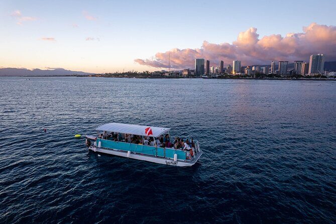 Waikiki Whale Watching Cruise - FAQs