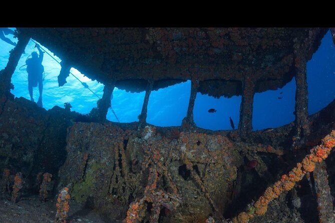 Waikikis Best Wreck And Reef Dive - Key Points