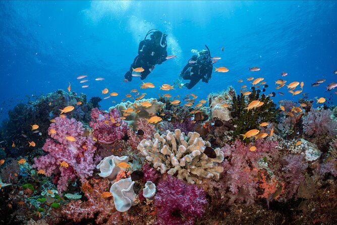 Waikikis Best Wreck And Reef Dive - The Itinerary: What’s on the Schedule?