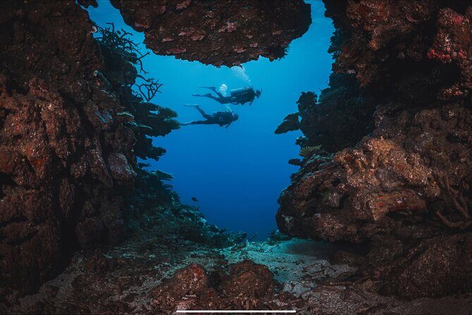 Waikikis Best Wreck And Reef Dive - What Sets Uncle Kimo’s Apart?