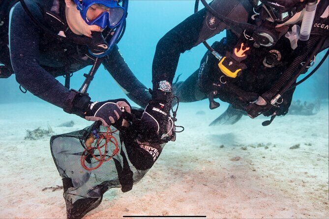 Waikikis Best Wreck And Reef Dive - How the Experience Feels: A Realistic Picture