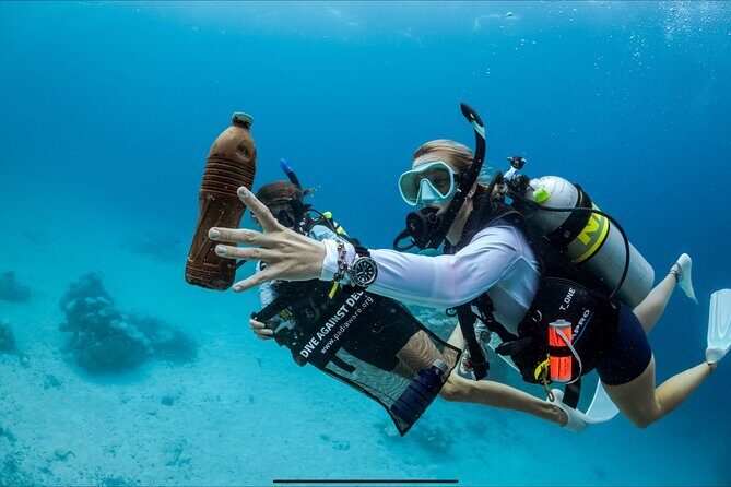 Waikikis Best Wreck And Reef Dive - Price, Value, and Practicalities