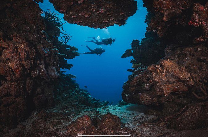 Waikikis Best Wreck And Reef Dive - Final Thoughts: Who Should Book This Tour?