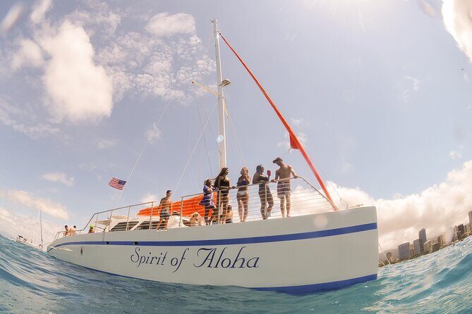 Waikoloa Turtle Catamaran Snorkel Sail - Who Should Consider This Tour?