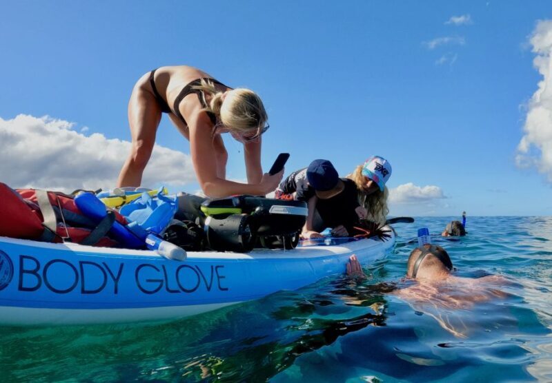 Wailea Beach: Snorkeling for Non-Swimmers Guided Tour - Why This Tour Is a Great Choice
