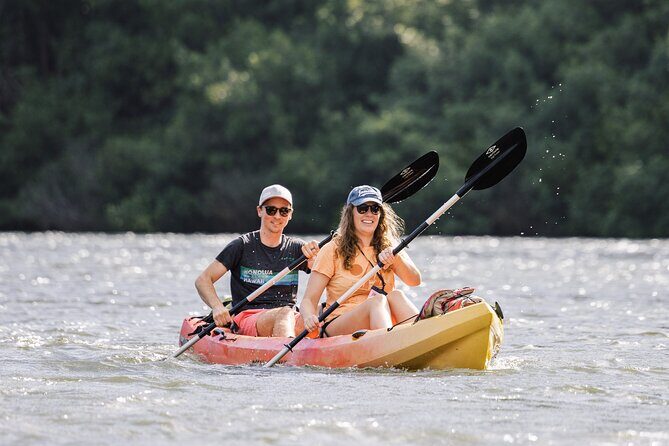 Wailua River: Kayak & Secret Waterfall Adventure - A Close-Up Look at the Wailua River: Kayak & Secret Waterfall Adventure