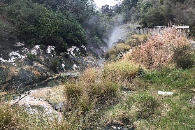 Waimangu Geothermal Valley & Lake Rotomahana Tour 7hrs - Introduction
