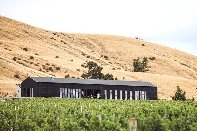 Waipara Valley Wine Region and Hanmer Springs All Day Tour - Key Points