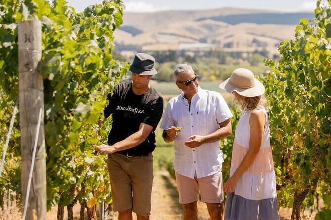 Waipara Valley Wine Region and Hanmer Springs All Day Tour - An In-Depth Look at What This Tour Offers