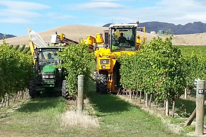 Waipara Wine Tour from Christchurch - including Lunch & Tastings - Frequently Asked Questions