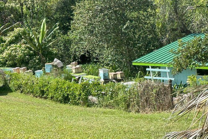 Waipio on Horseback: Mountain Ocean Views Working Cattle Ranch - Authentic Land and Scenic Vistas