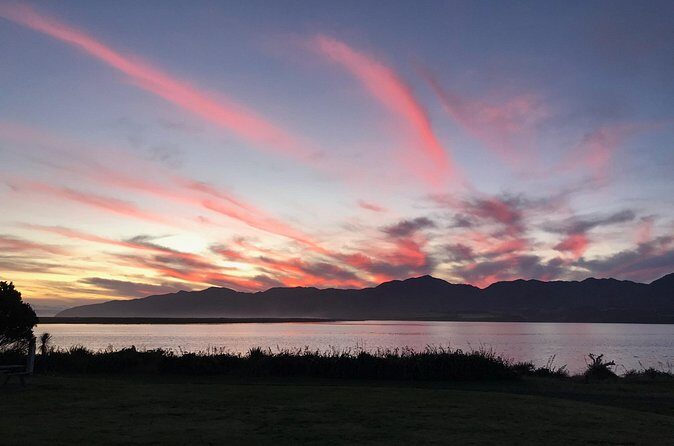 Wairarapa Tours South Wairarapa Cultural Tour Half Day - The Sum Up