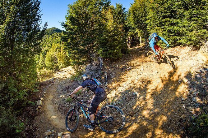 Wairoa Gorge MTB Park Private Shuttle Day - Wairoa Gorge MTB Park Private Shuttle Day: An In-Depth Review