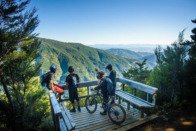 Wairoa Gorge MTB Park Private Shuttle Day - An Overview of the Wairoa Gorge MTB Park Experience
