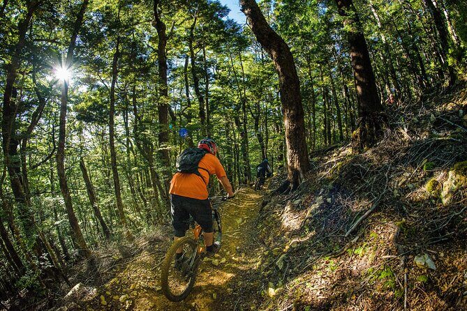 Wairoa Gorge MTB Park Private Shuttle Day - Transportation and Logistics