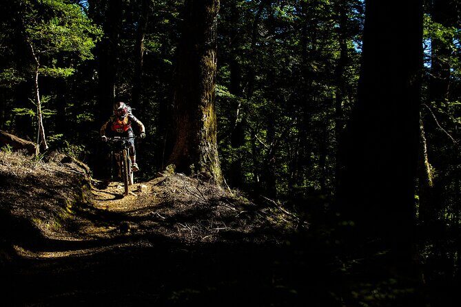Wairoa Gorge MTB Park Private Shuttle Day - The Value Proposition