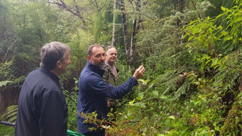 Waitakere Ranges Wilderness Experience Tour from Auckland - An In-Depth Look at the Experience