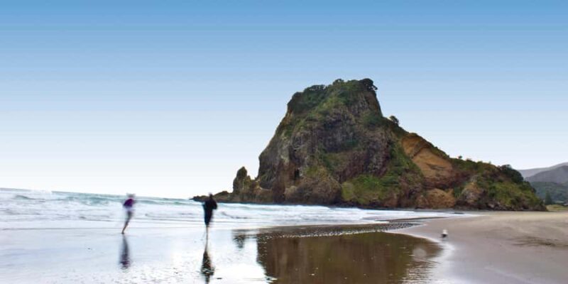 Waitakere Ranges Wilderness Experience Tour from Auckland - Who Should Consider This Tour?