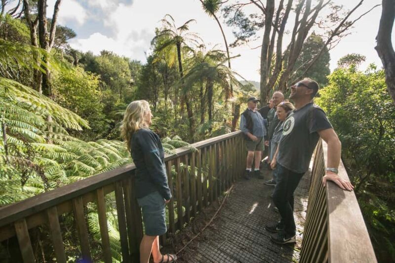 Waitakere Ranges Wilderness Experience Tour from Auckland - The Sum Up