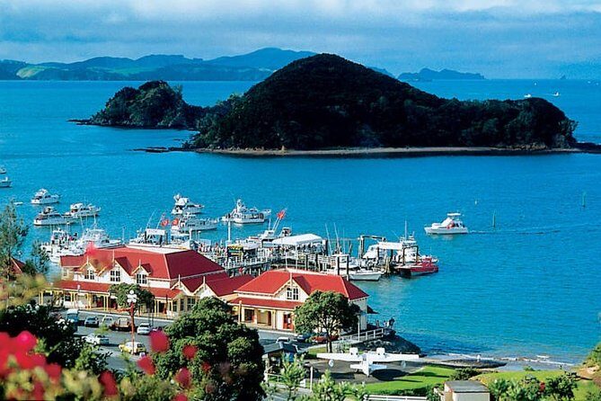 Waitangi Treaty Ground Day Trip Private Transport From Auckland - Key Points