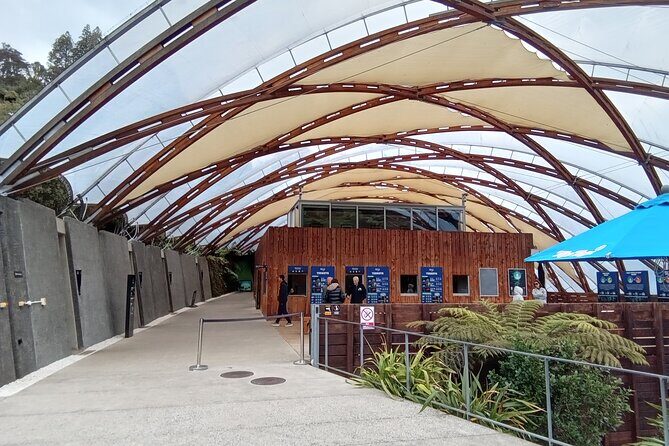 Waitomo Cave and Hobbiton Village Full Day Tour - A Day in the Land of Limestone and Middle-earth