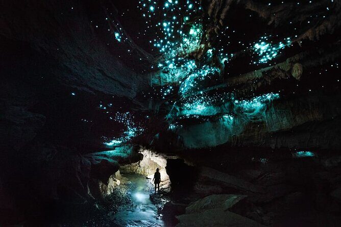 Waitomo Cave and Hobbiton Village Full Day Tour - The Sum Up