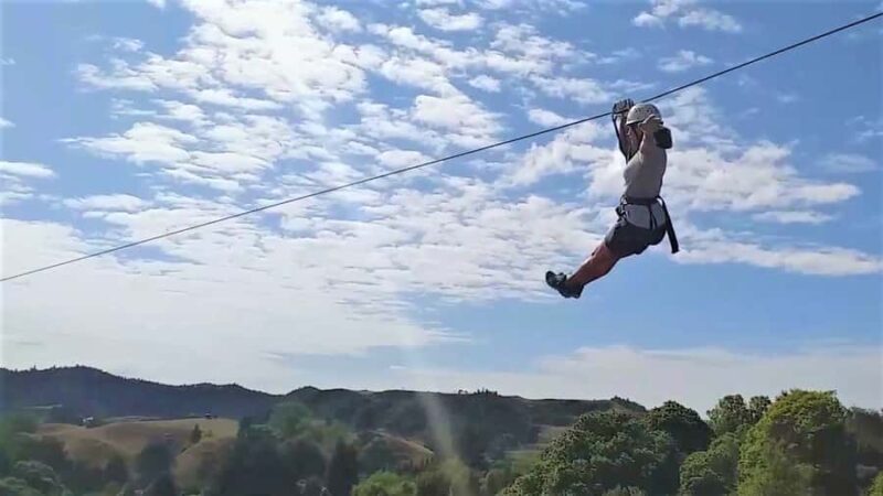 Waitomo Caves 1-Kilometer-Long Zipline Tour - Key Points