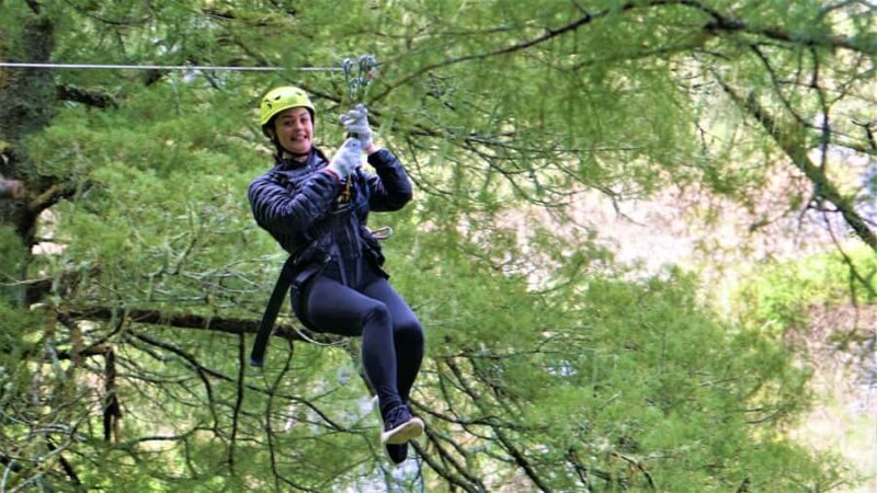 Waitomo Caves 1-Kilometer-Long Zipline Tour - Authenticity and Review Highlights