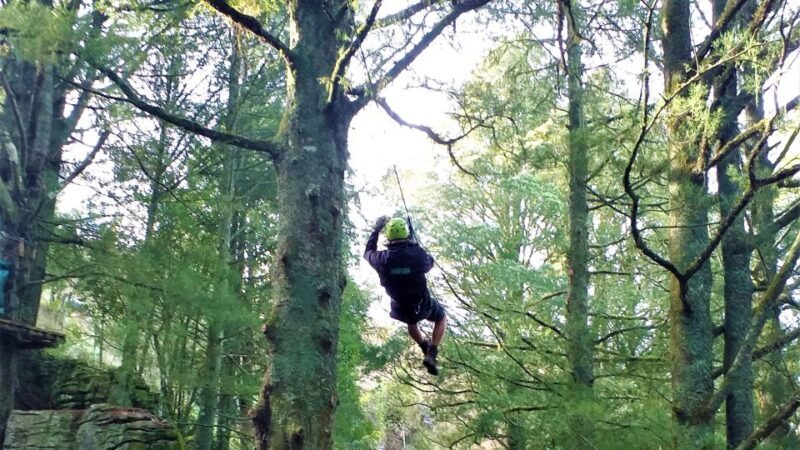 Waitomo Caves 1-Kilometer-Long Zipline Tour - The Verdict: Who Will Love This Tour?