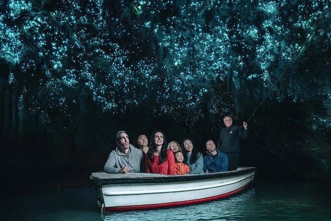 Waitomo Caves Private Tour from Auckland - A Closer Look at the Waitomo Caves Private Tour from Auckland