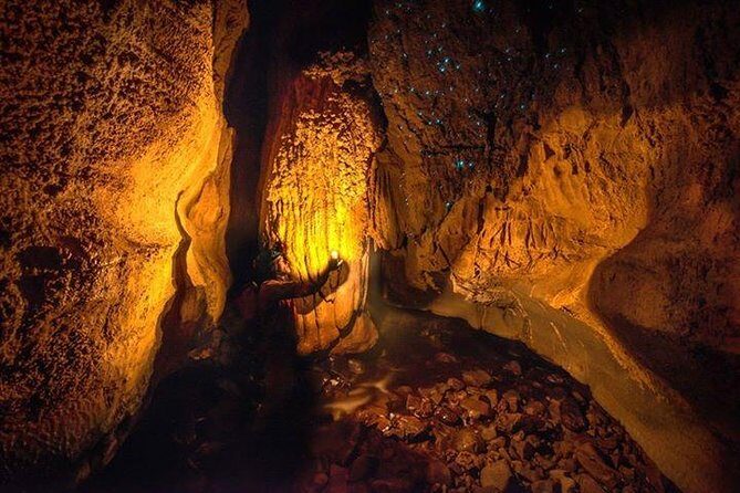 Waitomo Caves Private Tour from Auckland - Discovering the Magic of Waitomo’s Glowworms