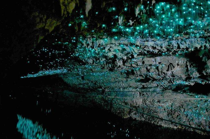 Waitomo Caves Private Tour from Auckland - The Experience from Travelers’ Perspectives
