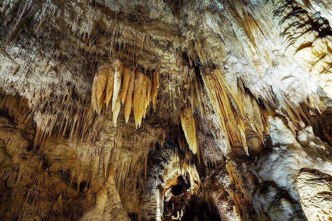 Waitomo Caves & Rotorua - Te Puia Small-Group Tour from Auckland - Who Will Love This Tour?