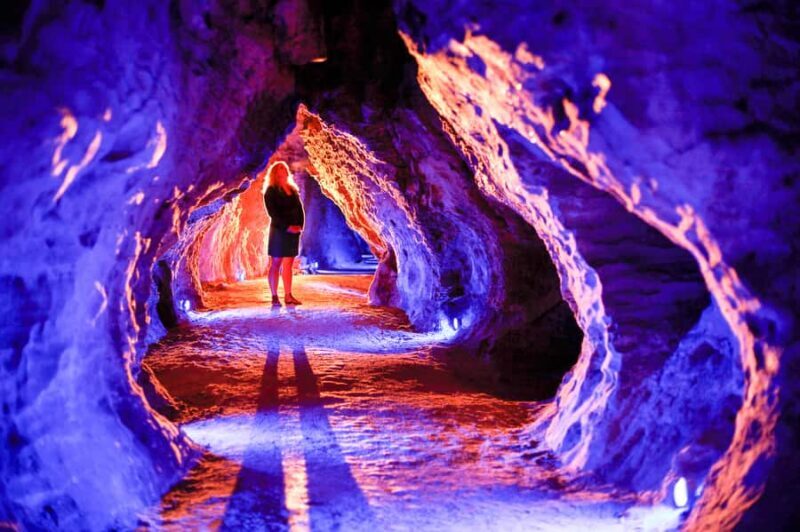 Waitomo Caves: Ruakuri Glowworm Cave Guided Walking Tour - Introduction