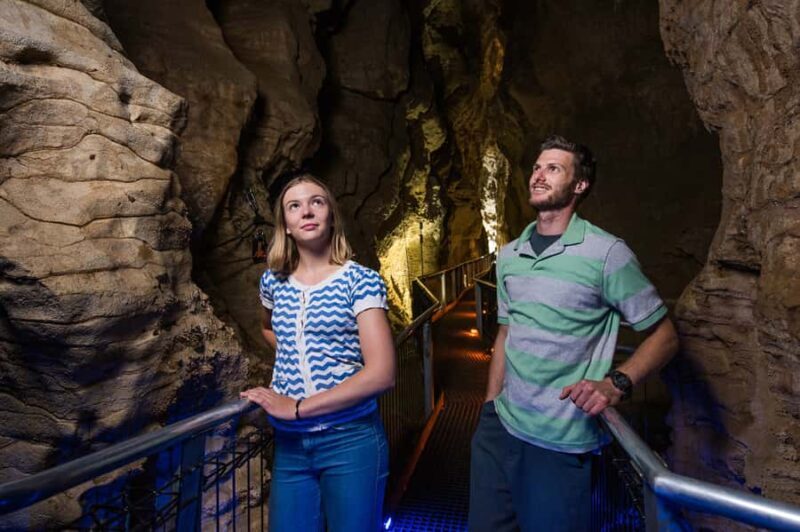 Waitomo Caves: Ruakuri Glowworm Cave Guided Walking Tour - The Itinerary in Detail