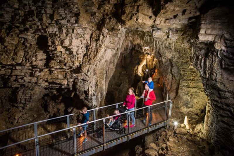 Waitomo Caves: Ruakuri Glowworm Cave Guided Walking Tour - The Value of the Tour
