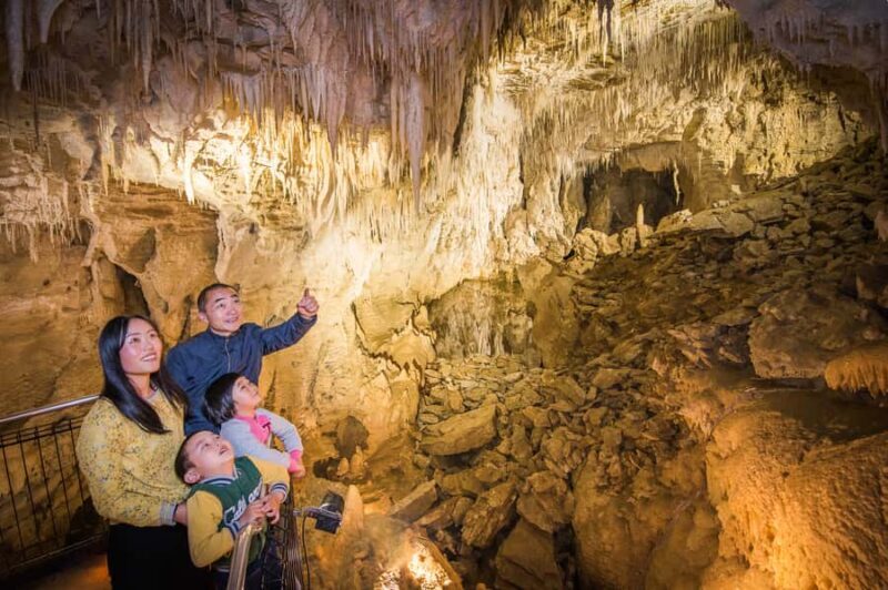Waitomo Caves: Ruakuri Glowworm Cave Guided Walking Tour - Who Should Consider This Tour?