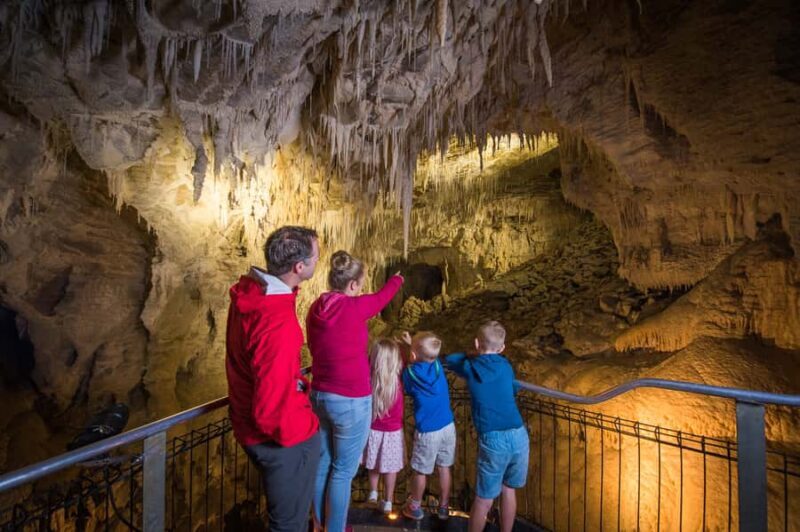 Waitomo Caves: Ruakuri Glowworm Cave Guided Walking Tour - FAQ