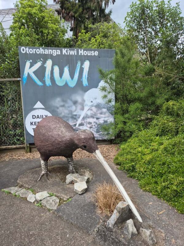 Waitomo: Caves to Kiwis eBike ride - Exploring the Route and Its Highlights